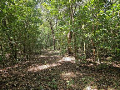 Residential Block For Sale - QLD - Bloomfield - 4895 - 100 Acres of Opportunity in Tropical North Queensland (Image 2)