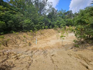 Residential Block For Sale - QLD - Bloomfield - 4895 - 100 Acres with Two Creeks – Tropical Lifestyle Opportunity  (Image 2)
