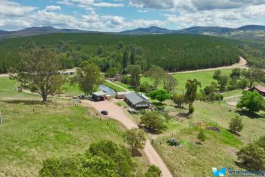 Acreage/Semi-rural For Sale - VIC - Glenaladale - 3864 - CALAJERO – A RURAL RETREAT WITH ENDLESS POSSIBILITIES  (Image 2)
