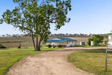 Lifestyle For Sale - QLD - Back Plains - 4361 - Space, views and serenity – your family’s country lifestyle awaits  (Image 2)