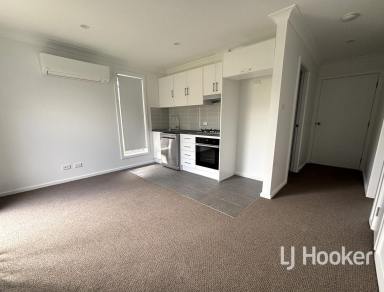 Unit For Lease - NSW - Inverell - 2360 - Modern, Brand New Unit  (Image 2)