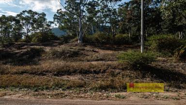 Residential Block For Sale - NSW - Charbon - 2848 - CREATE YOUR DREAM ESCAPE (Image 2)