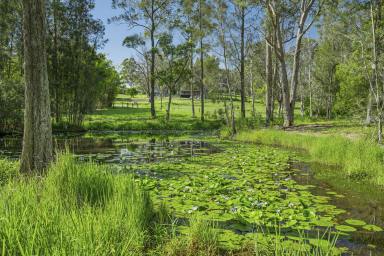 Residential Block For Sale - NSW - Frederickton - 2440 - 2.6 Acres Amidst Nature-Building Entitlement-Tightly Held Location  (Image 2)