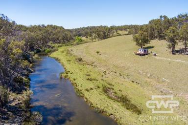 Lifestyle For Sale - NSW - Glen Innes - 2370 - Wallaroo Waters – 500-Acre Approx. Lifestyle Haven with River Frontage  (Image 2)