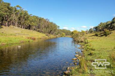 Lifestyle For Sale - NSW - Glen Innes - 2370 - Wallaroo Waters – 500-Acre Approx. Lifestyle Haven with River Frontage  (Image 2)