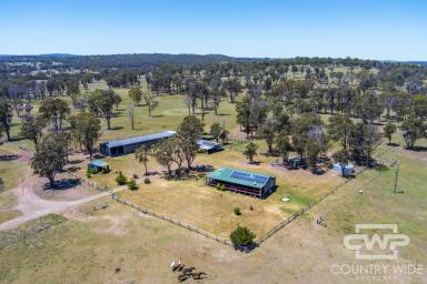 Lifestyle For Sale - NSW - Glen Innes - 2370 - Wallaroo Waters – 500-Acre Approx. Lifestyle Haven with River Frontage (Image 2)