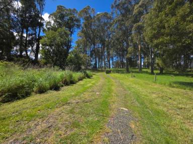 Residential Block For Sale - TAS - Mole Creek - 7304 - Secure Your Slice of Tasmania!  (Image 2)