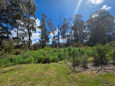 Residential Block For Sale - TAS - Mole Creek - 7304 - Secure Your Slice of Tasmania!  (Image 2)