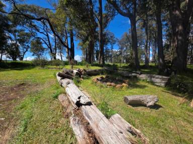 Residential Block For Sale - TAS - Mole Creek - 7304 - Secure Your Slice of Tasmania!  (Image 2)