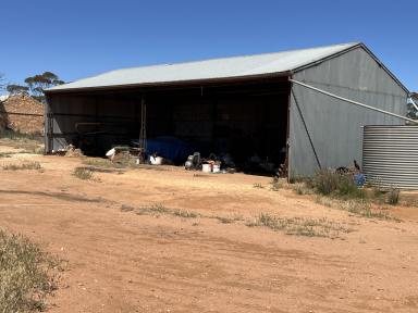 Mixed Farming For Sale - SA - Nildottie - 5238 - Dryland Cropping or Livestock on Good Arable Land.  (Image 2)