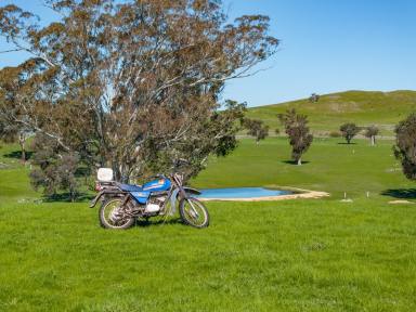 Residential Block Auction - NSW - Yass - 2582 - Tightly Held Generational Proven Performer  (Image 2)