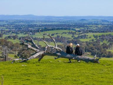 Residential Block Auction - NSW - Yass - 2582 - Tightly Held Generational Proven Performer  (Image 2)