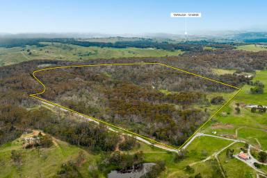 Lifestyle Auction - NSW - Taralga - 2580 - Your Own 100-Acre Escape Near Taralga  (Image 2)