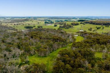 Lifestyle For Sale - NSW - Taralga - 2580 - Your Own 100-Acre Escape Near Taralga  (Image 2)