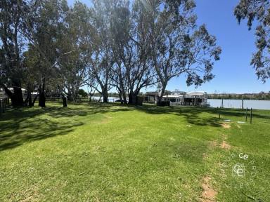 Residential Block For Sale - SA - Mannum - 5238 - Mannum’s most prestigious address  (Image 2)