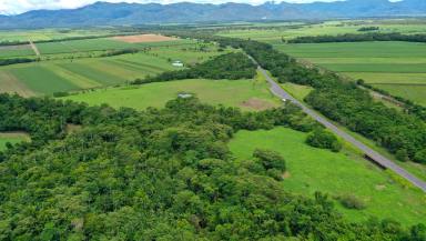 Residential Block For Sale - QLD - Murrigal - 4854 - Rural 4.19ha Vacant Block  (Image 2)