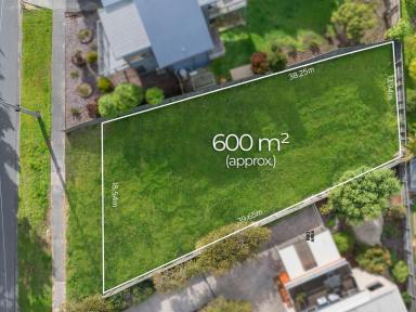 Residential Block For Sale - VIC - Apollo Bay - 3233 - THE PROMISE OF AMAZING VIEWS  (Image 2)