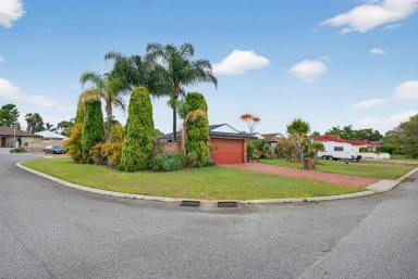 House For Sale - WA - Alexander Heights - 6064 - Modern & Spacious Home on a Huge 721sqm Corner Block with Pool! (Image 2)