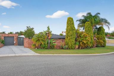 House For Sale - WA - Alexander Heights - 6064 - Modern & Spacious Home on a Huge 721sqm Corner Block with Pool! (Image 2)