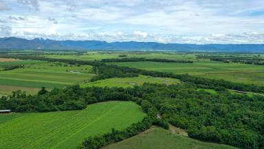 Residential Block For Sale - QLD - Murrigal - 4854 - Rural 12.65ha Vacant Block  (Image 2)