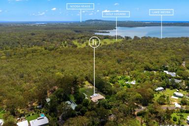 House Auction - QLD - Weyba Downs - 4562 - Private Flat Acreage Moments to Noosa - *Auction 5th Dec  (Image 2)