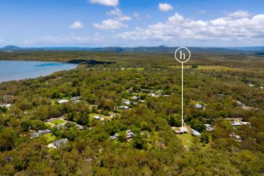 House Auction - QLD - Weyba Downs - 4562 - Private Flat Acreage Moments to Noosa - *Auction 5th Dec  (Image 2)