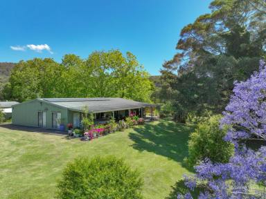 Lifestyle For Sale - NSW - Batar Creek - 2439 - "One In A Million"  (Image 2)