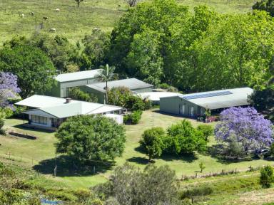Lifestyle For Sale - NSW - Batar Creek - 2439 - "One In A Million"  (Image 2)