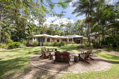 House For Sale - QLD - Doonan - 4562 - Tropical Sanctuary On 5 Acres with Dual Living  (Image 2)