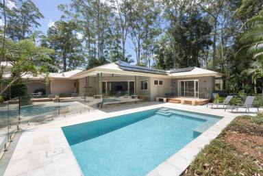 House For Sale - QLD - Doonan - 4562 - Tropical Sanctuary On 5 Acres with Dual Living  (Image 2)