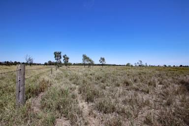 Other (Rural) Auction - QLD - Orange Creek - 4715 - Callide Valley Scrub Close to Biloela  (Image 2)