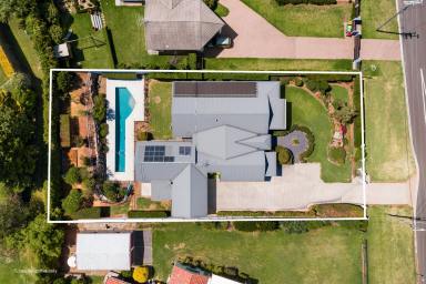 House For Sale - QLD - East Toowoomba - 4350 - Effortless Family Living with Escarpment Views  (Image 2)