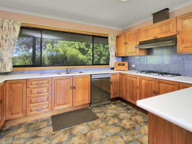 House For Sale - VIC - Nicholson - 3882 - WATTS NOT TO LIKE!  (Image 2)