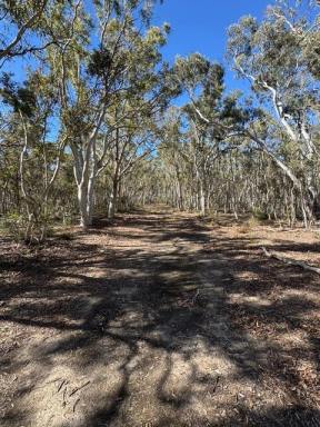 Lifestyle For Sale - NSW - Towrang - 2580 - Own a Slice of Countryside Paradise  (Image 2)