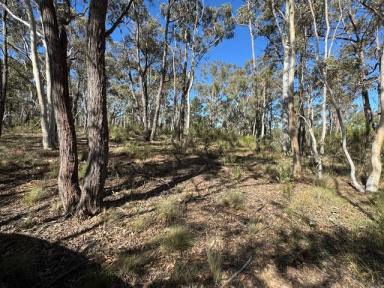 Lifestyle For Sale - NSW - Towrang - 2580 - Own a Slice of Countryside Paradise  (Image 2)