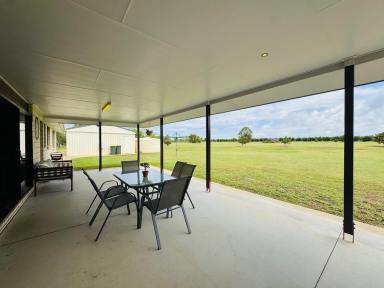 Acreage/Semi-rural Sold - QLD - Redridge - 4660 - PEACEFUL ACREAGE WITH SPACIOUS FAMILY HOME  (Image 2)