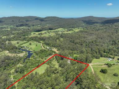 Lifestyle For Sale - NSW - Hannam Vale - 2443 - A rare opportunity to secure a beautiful hinterland escape  (Image 2)