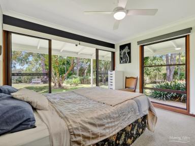 Lifestyle For Sale - NSW - Hannam Vale - 2443 - A rare opportunity to secure a beautiful hinterland escape  (Image 2)