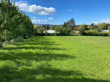 Residential Block For Sale - TAS - Deloraine - 7304 - Prime Property Opportunity (Image 2)