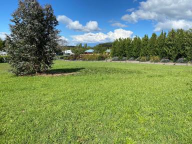 Residential Block For Sale - TAS - Deloraine - 7304 - Prime Property Opportunity (Image 2)