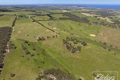 Other (Rural) For Sale - SA - Willow Creek - 5211 - Kulaganga – A Rare Rural Opportunity in the Heart of the Fleurieu Peninsula  (Image 2)