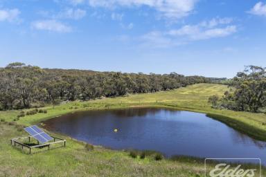Other (Rural) For Sale - SA - Willow Creek - 5211 - Fraser Aggregation - A Premium Rural Offering in South Australia's Fleurieu Peninsula  (Image 2)