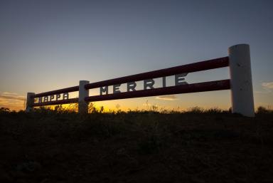 Livestock For Sale - QLD - Durham - 4492 - One of Australia’s Most Iconic Grazing Stations (Image 2)