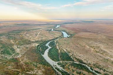 Livestock For Sale - QLD - Durham - 4492 - One of Australia’s Most Iconic Grazing Stations (Image 2)