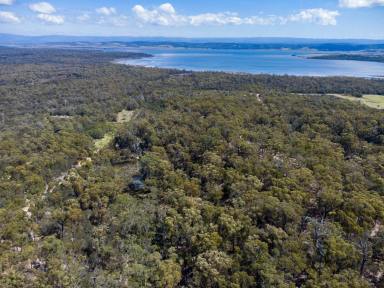Residential Block For Sale - TAS - Coles Bay - 7215 - Beautiful Bush Acreage - Serenity, Space & Coastal Lifestyle  (Image 2)