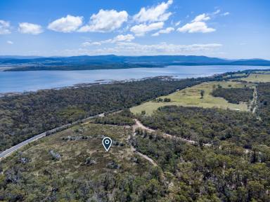Residential Block For Sale - TAS - Coles Bay - 7215 - Beautiful Bush Acreage - Serenity, Space & Coastal Lifestyle  (Image 2)