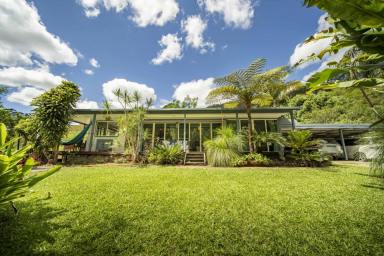 Acreage/Semi-rural For Sale - NSW - The Pocket - 2483 - Byron Hinterland Sanctuary 7 Acres Multiple Dwellings + Cash Flow  (Image 2)