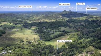 Acreage/Semi-rural For Sale - NSW - The Pocket - 2483 - Private Byron Hinterland Sanctuary on 7 Acres: Beautiful Home, Flexibility + Cash Flow (Image 2)