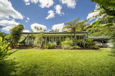 Acreage/Semi-rural For Sale - NSW - The Pocket - 2483 - Private Byron Hinterland Sanctuary on 7 Acres: Beautiful Home, Flexibility + Cash Flow (Image 2)