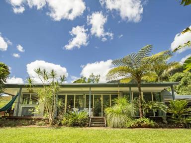 Acreage/Semi-rural For Sale - NSW - The Pocket - 2483 - "Rainbow River" A Byron Hinterland Sanctuary of Abundance, Beauty & Possibility (Image 2)